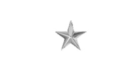 BrigadierGeneral_Structure-0001.jpg