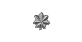 LieutenantColonel_Structure-0001.jpg